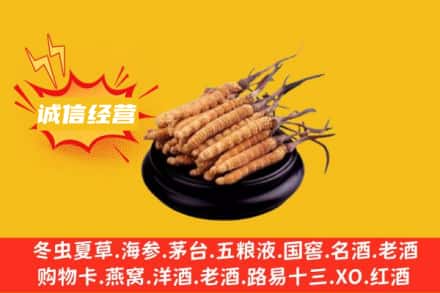 巴音郭楞轮台县回收冬虫夏草
